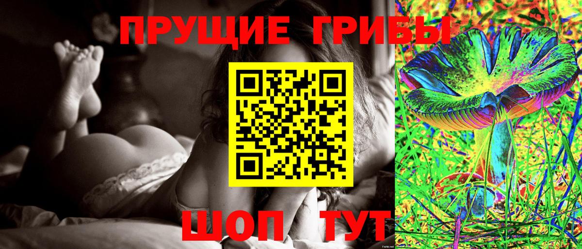 Псилоцибиновые грибы Cubensis Борисоглебск
